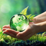 Ekologie a životní prostředí